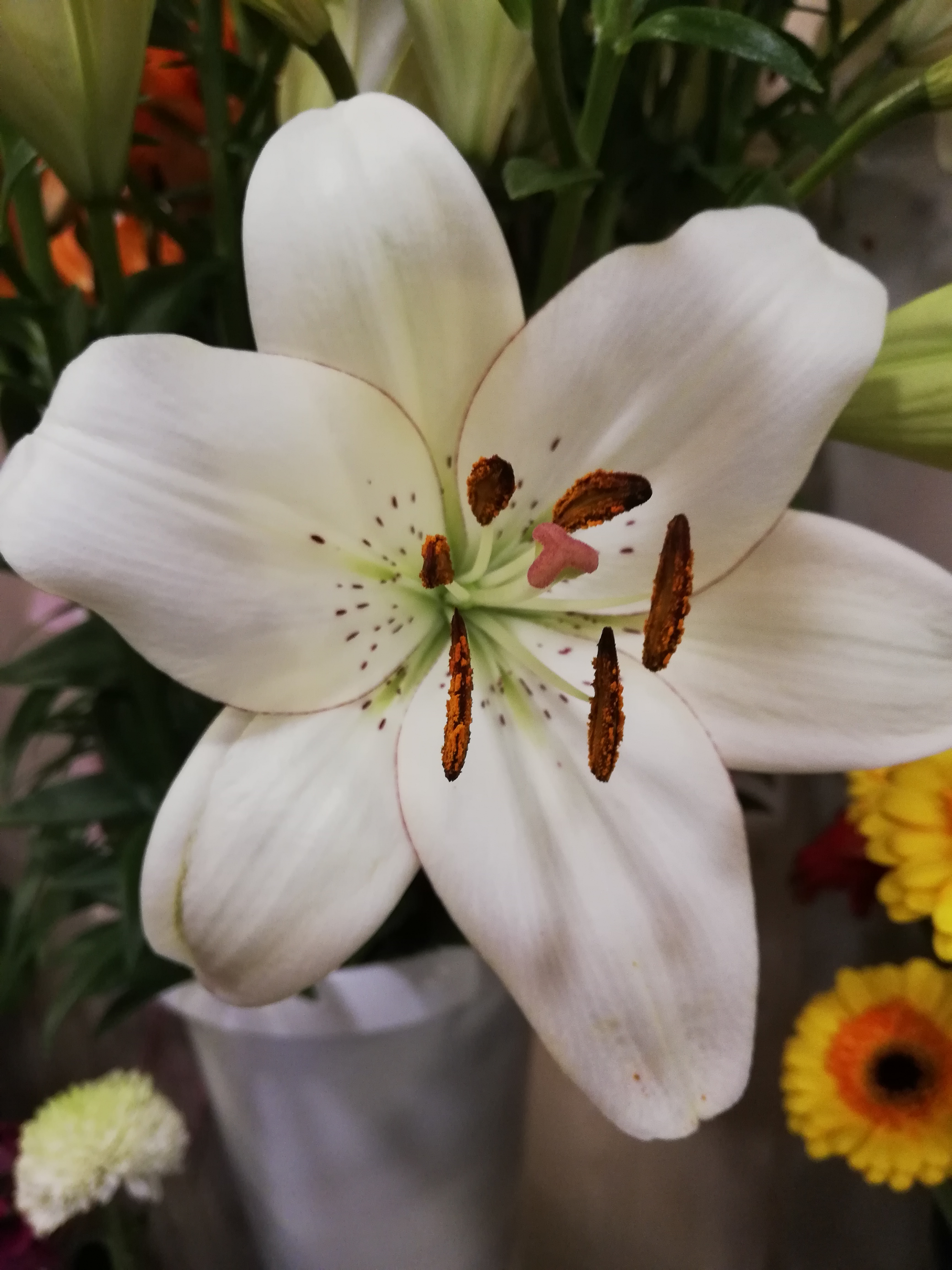 Lilium Bianco Fioreria Bruseghini Besenello Trento